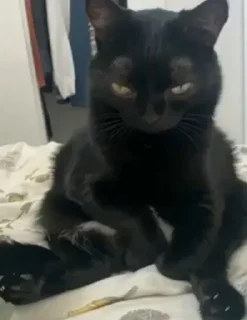 😠