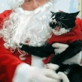 🎅