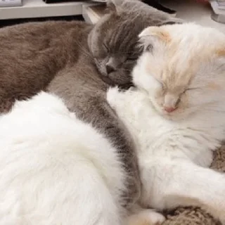💕
