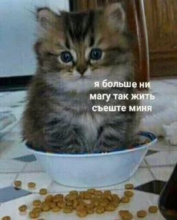 😞