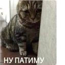 😞