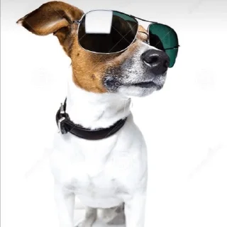 😎