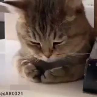 😞