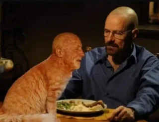 🐱