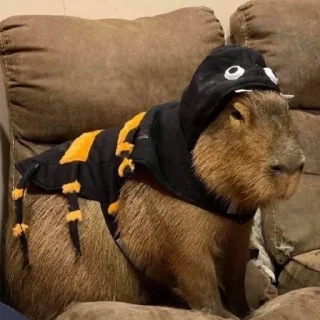 🐝