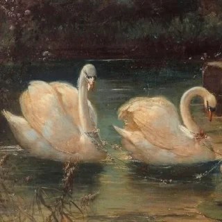 🦢