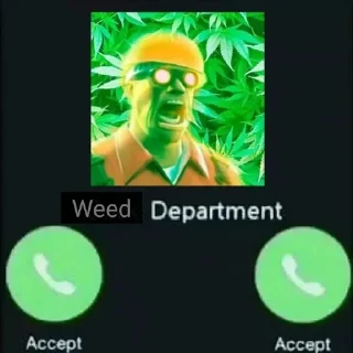 🌿
