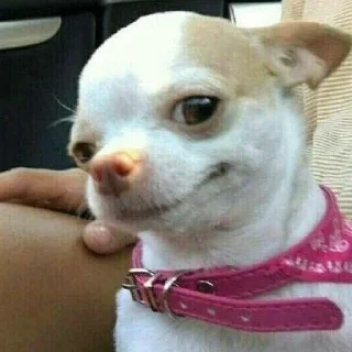 😏