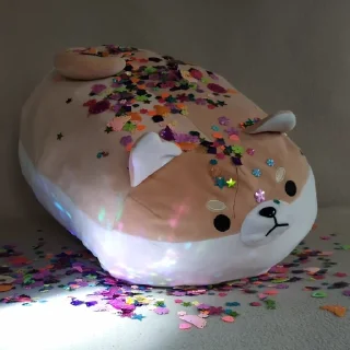 ✨