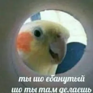 😇
