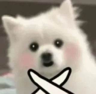 ✖️
