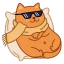 😎