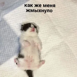 💤
