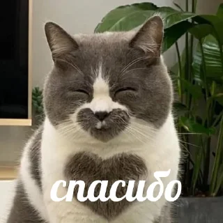 😊
