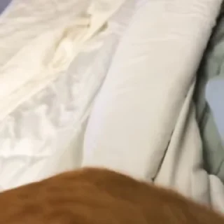 😈