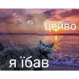 🚬