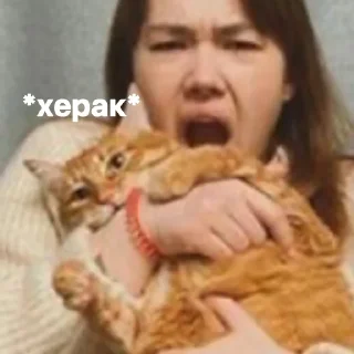 🐯