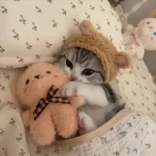 🌟