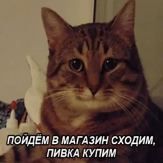 🍺