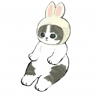 🐰
