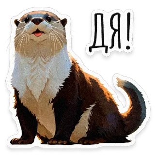 🦦
