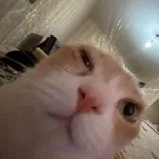 😪