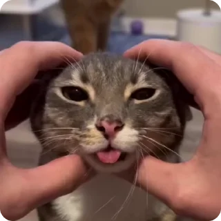 🍔