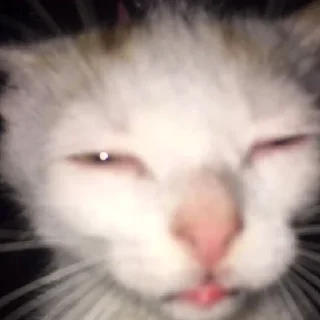😪