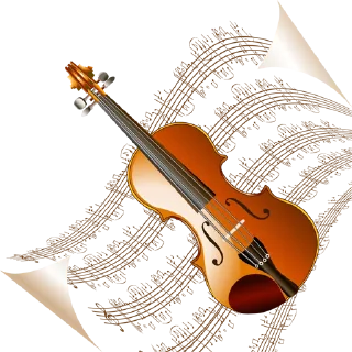 🎸