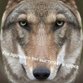 😂
