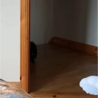 😜