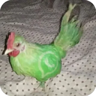 🫥