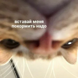 🙃