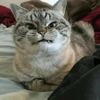 😠