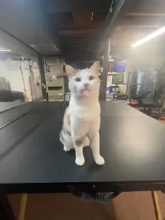 😛