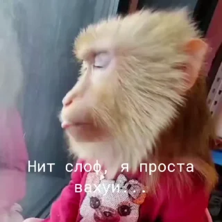 😒