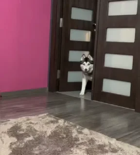 😀