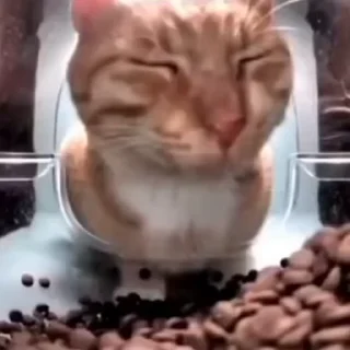 🙃