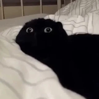 😳
