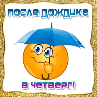 ☔️
