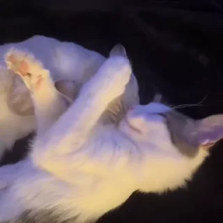 😛