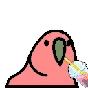 🦜