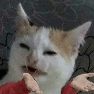 🤨