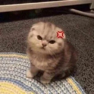 😡