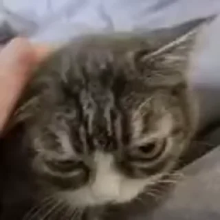 😌