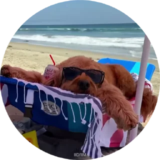 🏖️