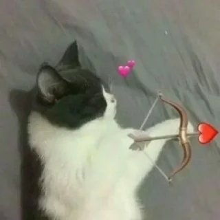 😭