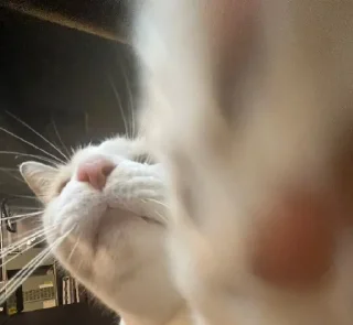 👋