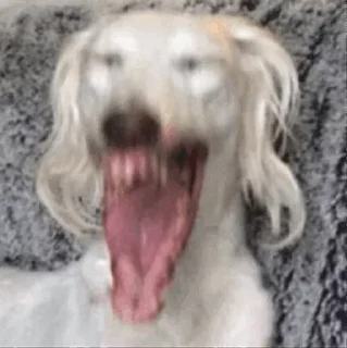 🤠