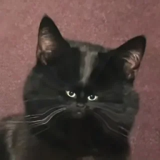 😐